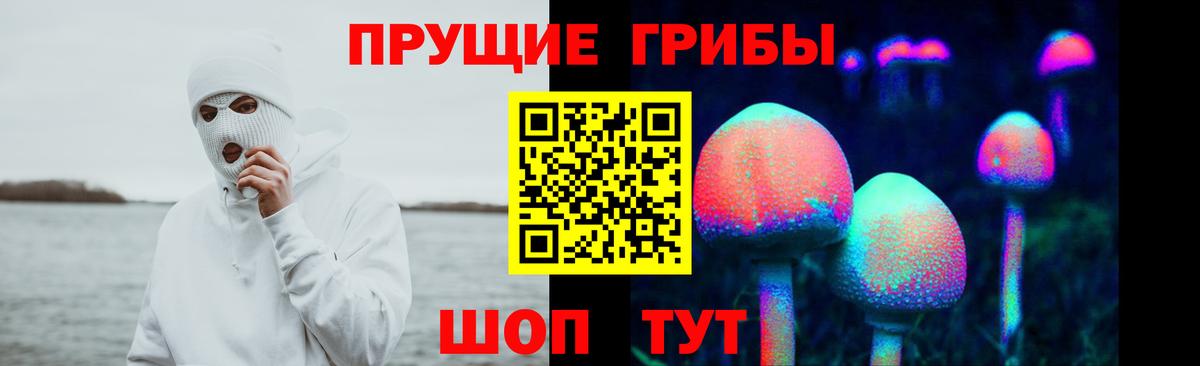 Галлюциногенные грибы Psilocybine cubensis Котлас